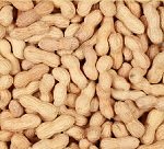 inshell peanuts